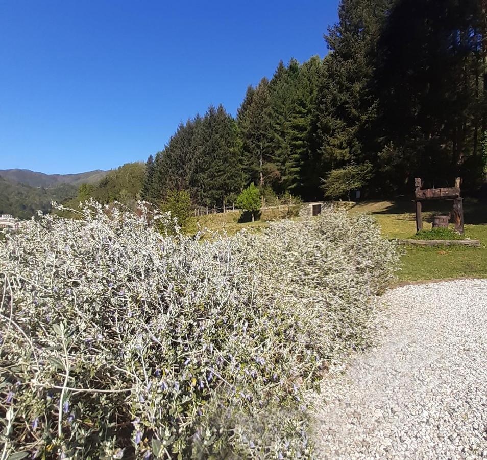 Il Bosco Di Campo Marzano Sunlight Apartment Borzonasca Exterior foto