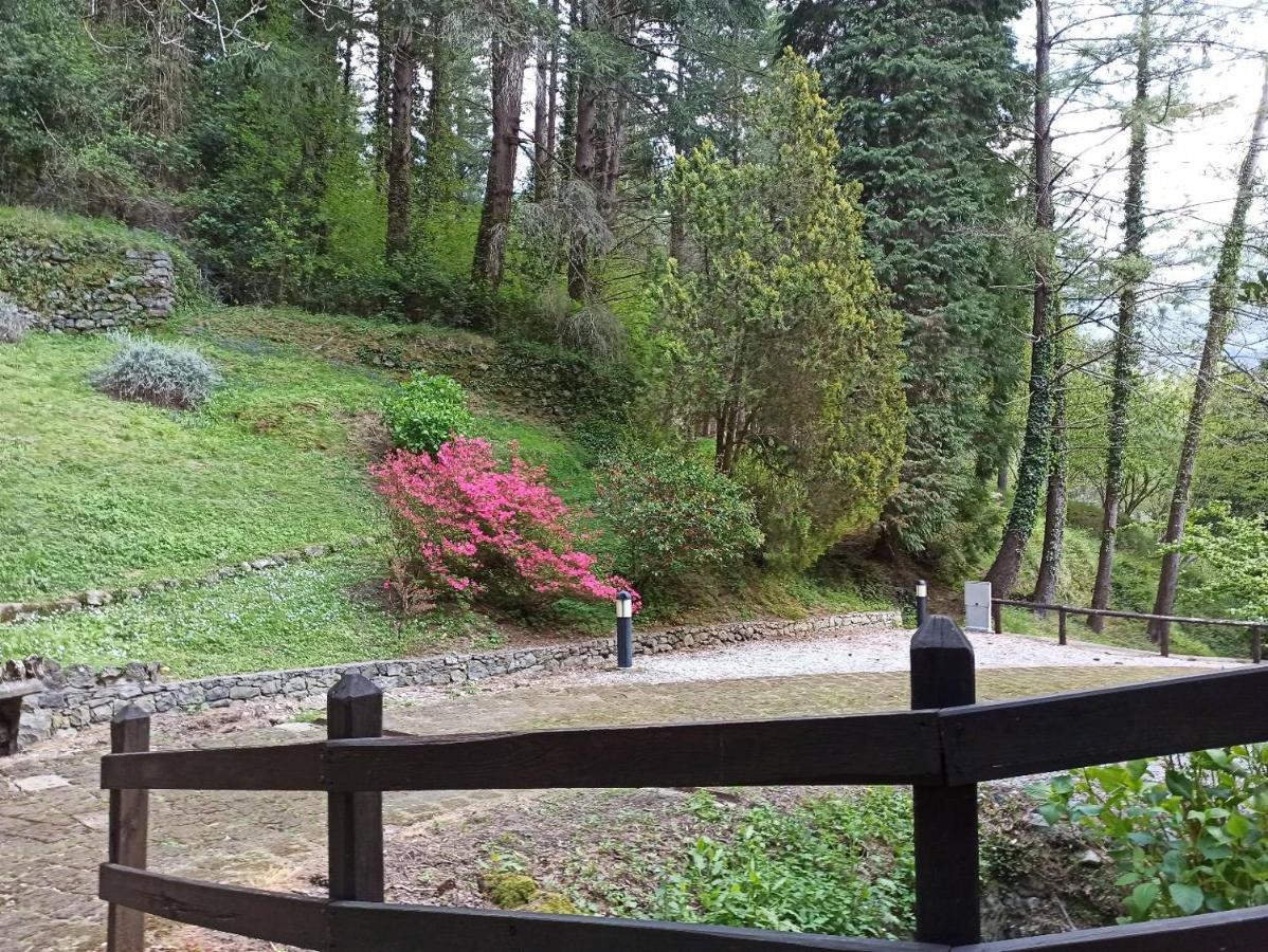 Il Bosco Di Campo Marzano Sunlight Apartment Borzonasca Exterior foto